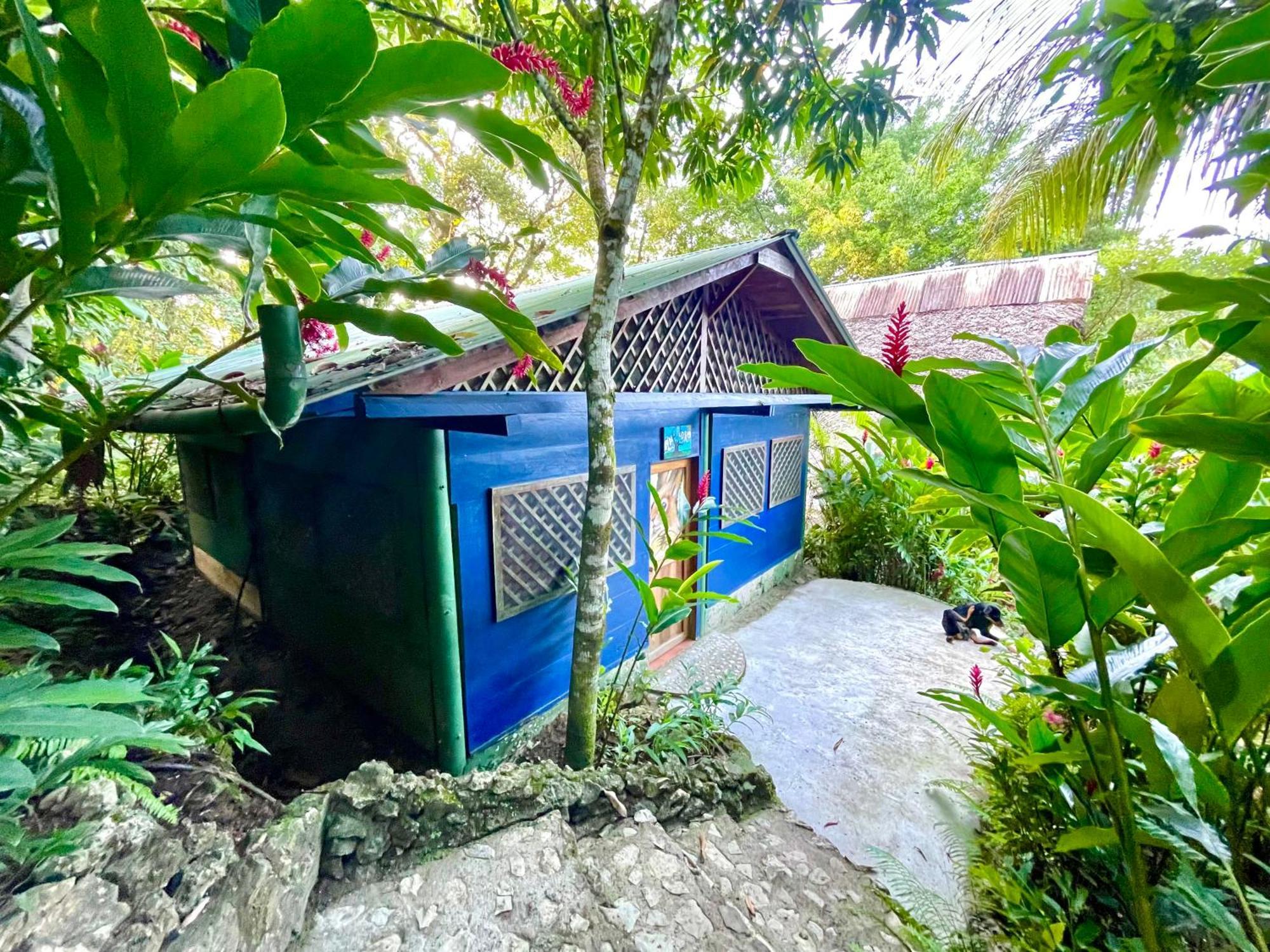 Palmeras Del Rio Hotel Ла-Винья Экстерьер фото
