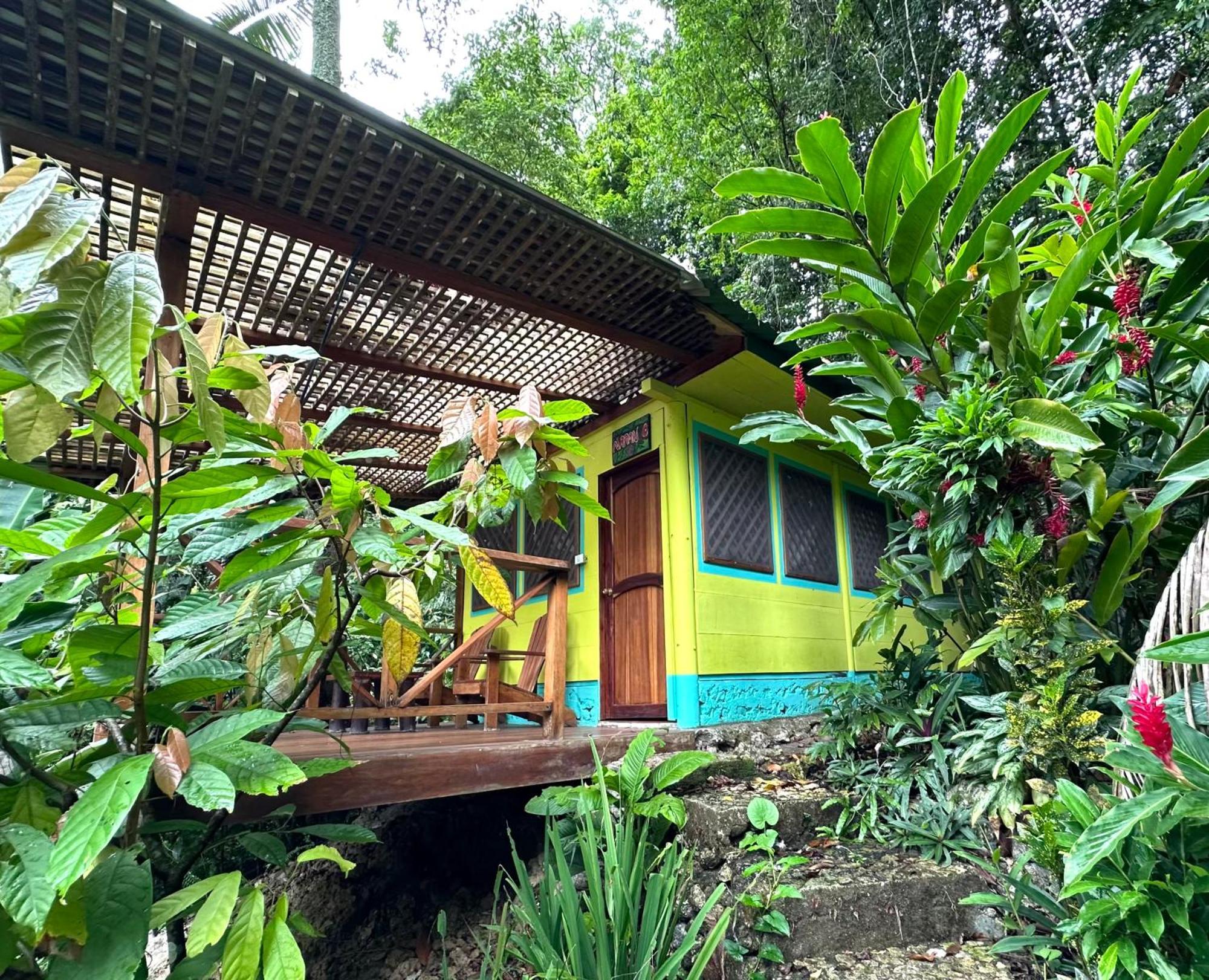 Palmeras Del Rio Hotel Ла-Винья Экстерьер фото