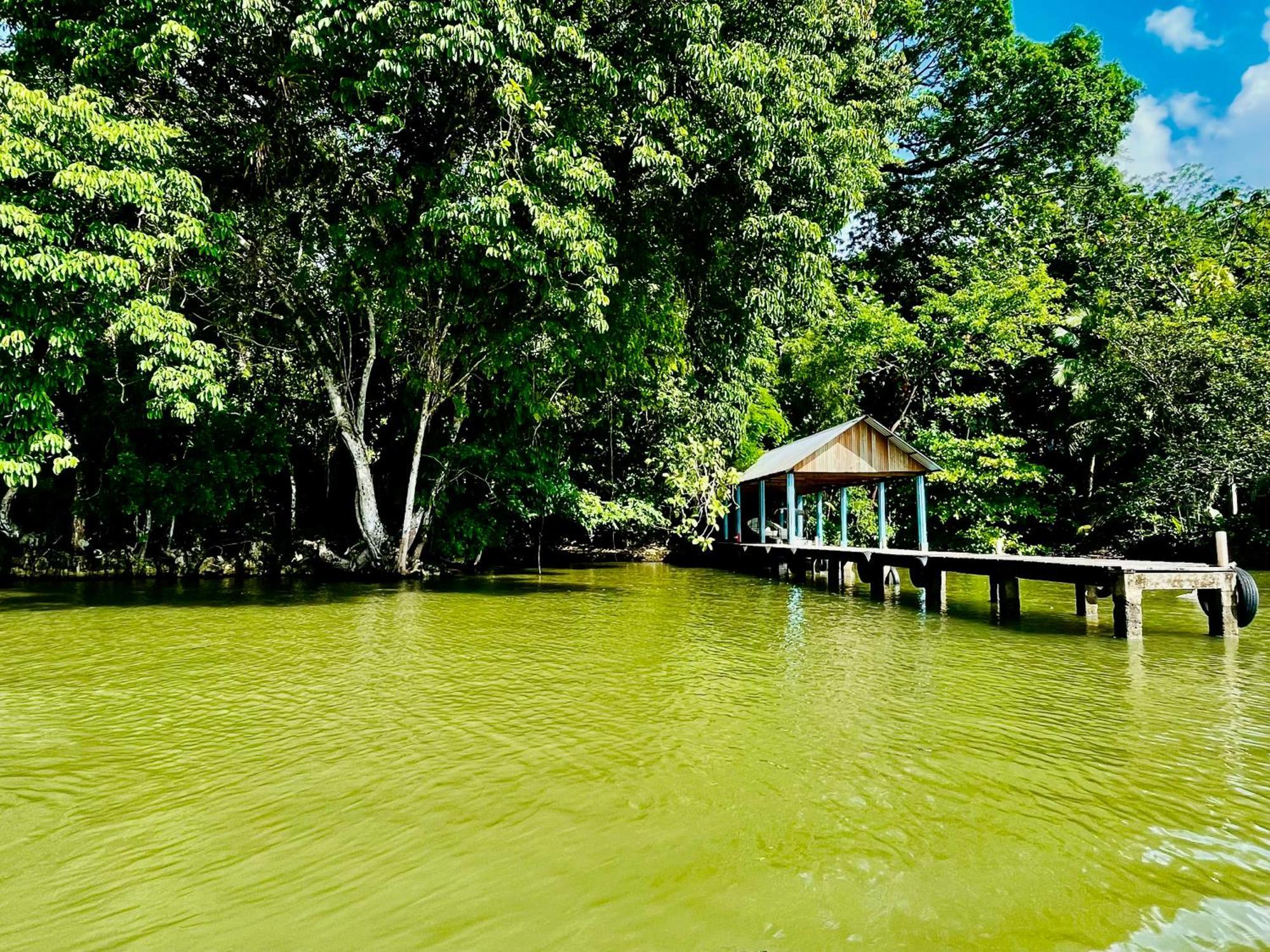 Palmeras Del Rio Hotel Ла-Винья Экстерьер фото