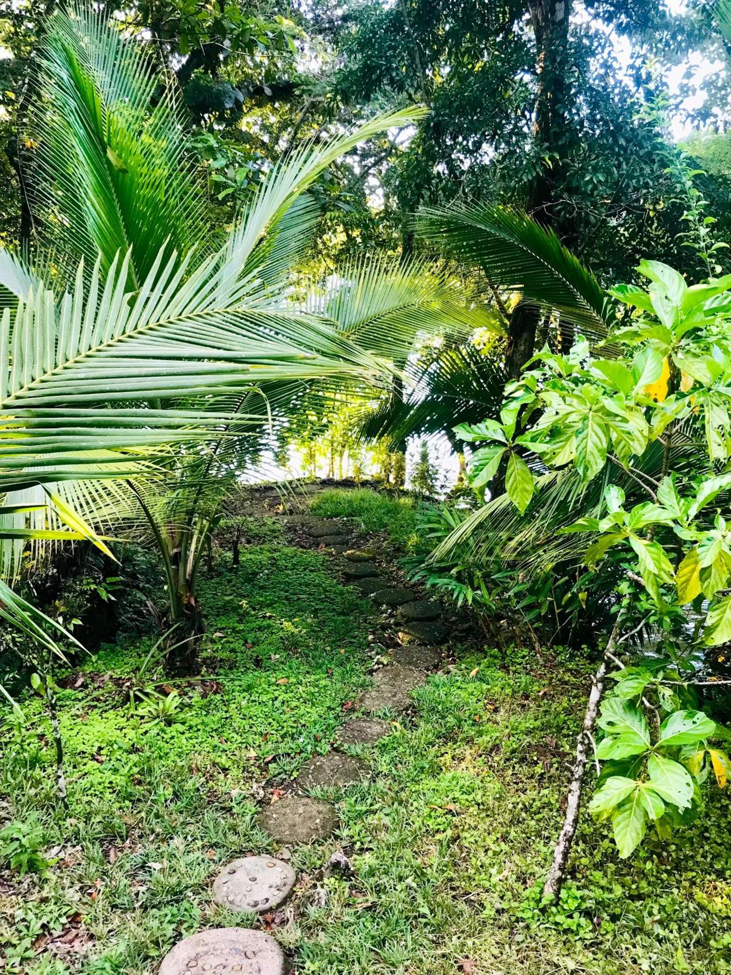 Palmeras Del Rio Hotel Ла-Винья Экстерьер фото