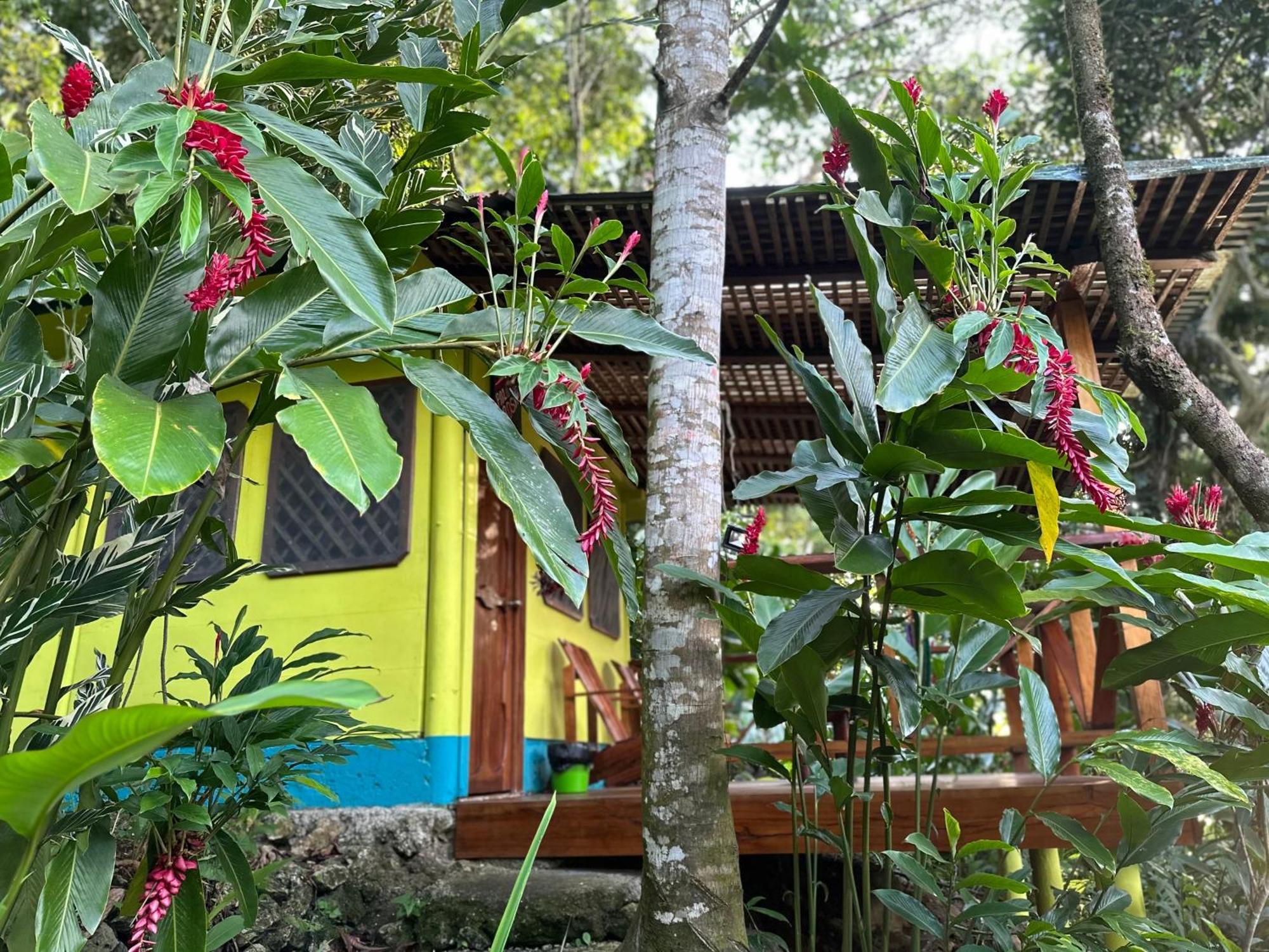 Palmeras Del Rio Hotel Ла-Винья Экстерьер фото