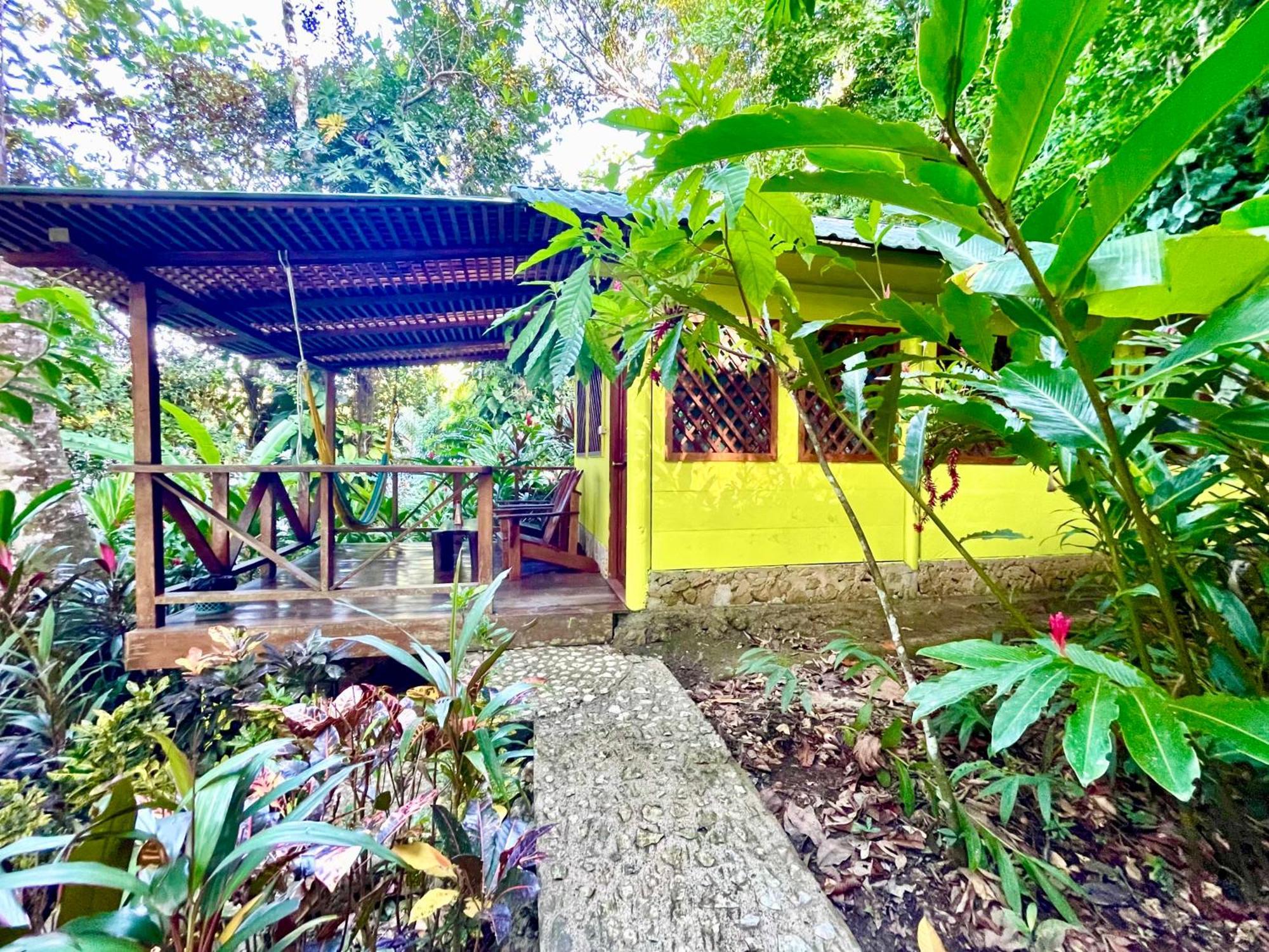 Palmeras Del Rio Hotel Ла-Винья Экстерьер фото