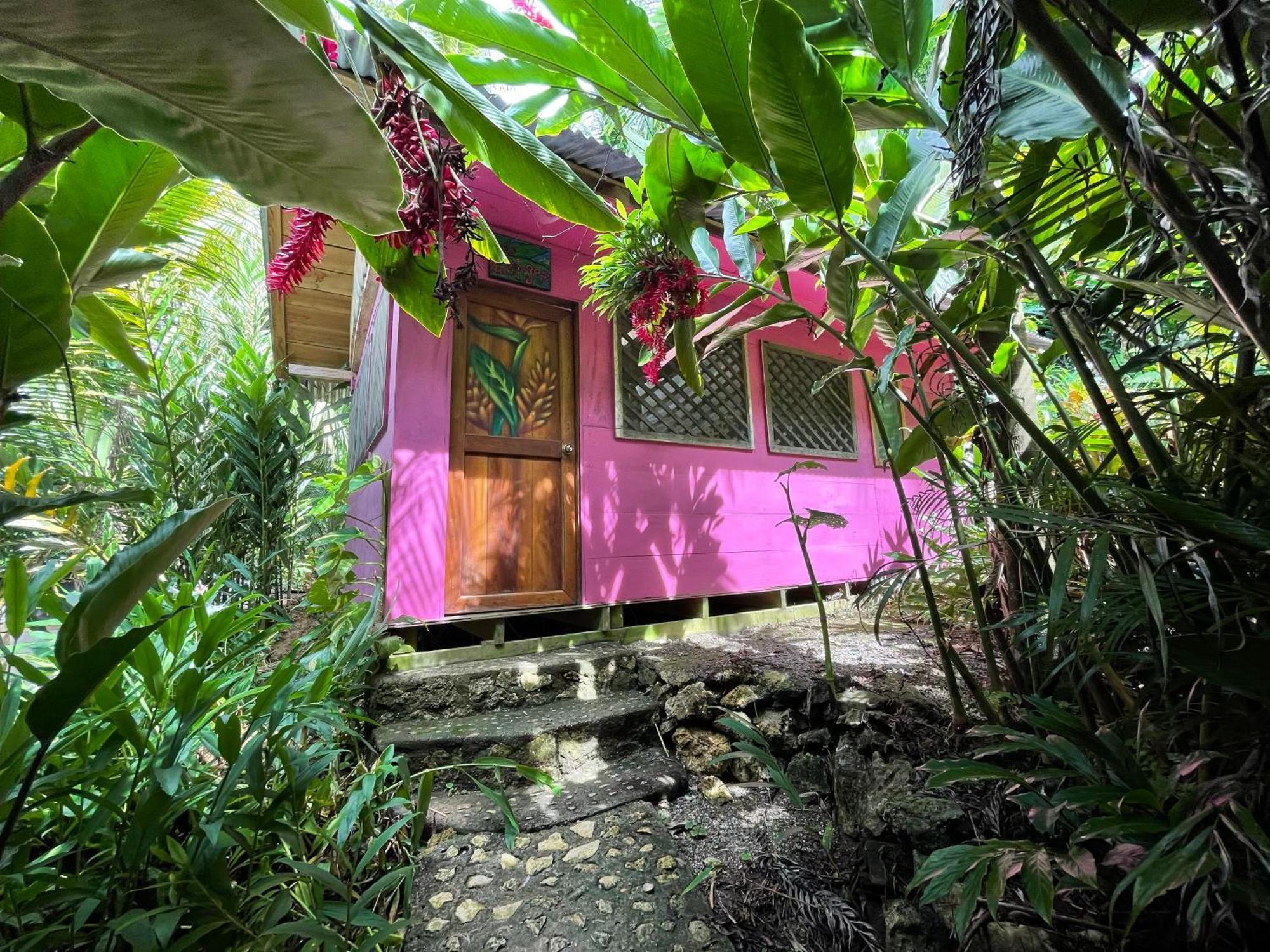 Palmeras Del Rio Hotel Ла-Винья Экстерьер фото